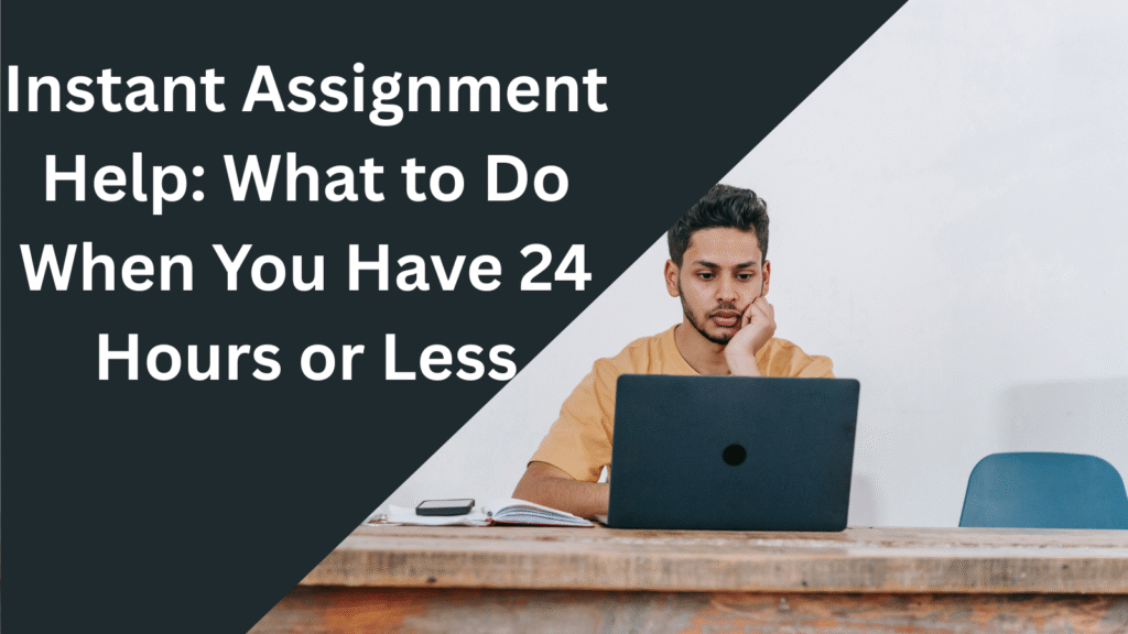 Instant Assignment Help: What to Do When You Have 24 Hours or Less