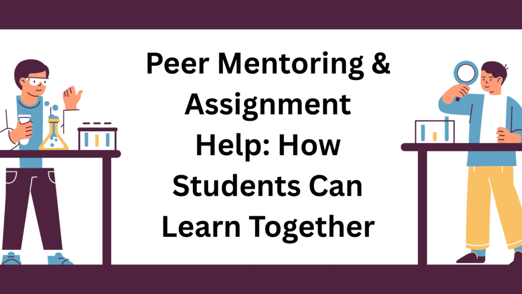 Peer Mentoring & Assignment Help: How Students Can Learn Together